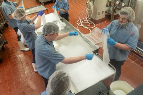 Creamery workers wrap cheese clothes around hoops at Ferdinands Ice Cream Shoppe, March 22.