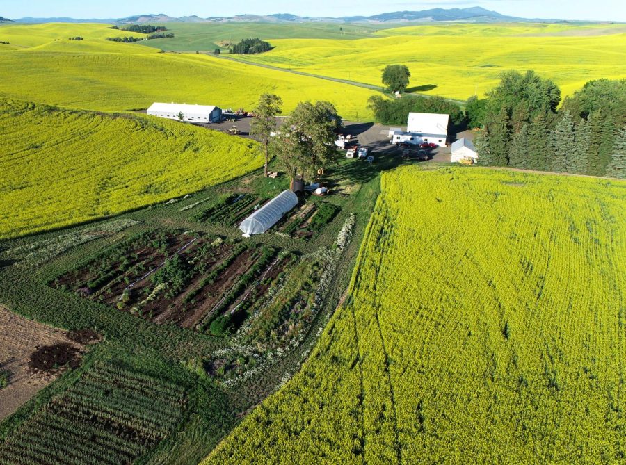 Located just a few miles outside Pullman, Smoots Flavor Farms has been adding seasioning to the Palouse since 2019. 