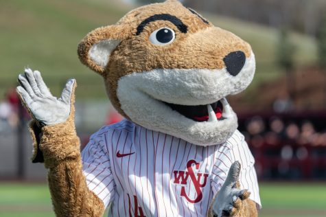 Butch T. Cougar hypes the crowd up before an NCAA collegiate baseball game against Utah, April 1, at Bailey-Brayton Field.