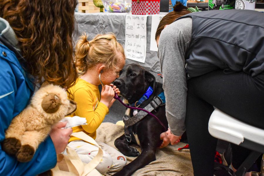 Gemma Goesling, center, uses a stethoscope to listen to Drax the dogs heartbeat Saturday afternoon at the College of Veterinary Medicine Open House.
