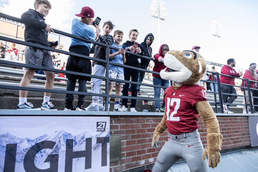 Butch T. Cougar interacts with young fans during the 2022 Spring Game, April 23, at Martin Stadium.