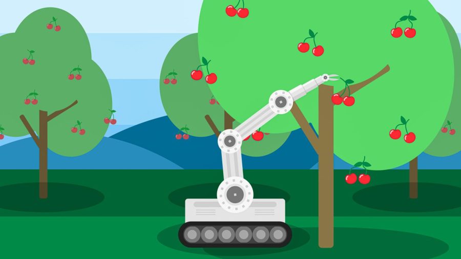 The initial strategy for the co-operative pruning process is to have robots prune 80% of the tree.