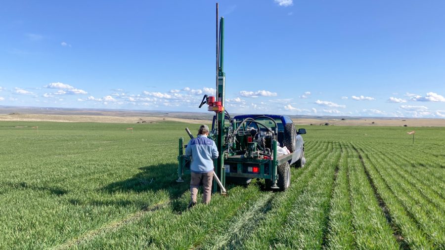 Doctorate student Madeline Desjardins takes deep soil cores to quantify soil carbon in a long-term biosolids experiment in Douglas County, Wash.