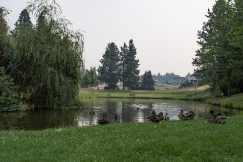 Sunnyside Park is one of many parks near the WSU campus