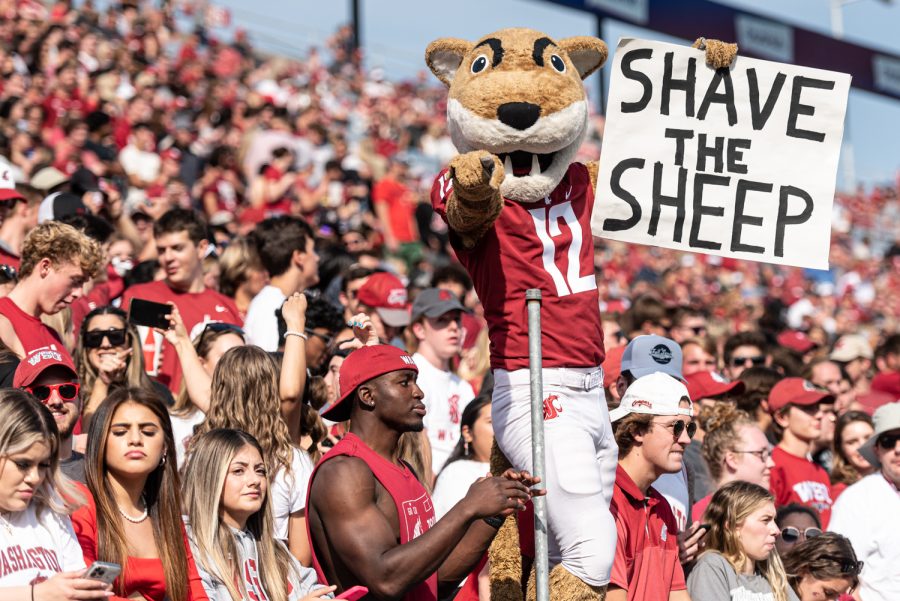 Butch T. Cougar holds a sign reading shave the sheep during an NCAA football game against Colorado State, Sep. 17.