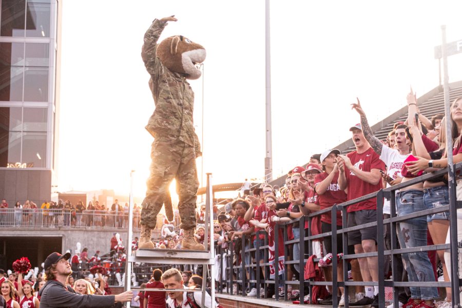 Butch T. Cougar fires up the crowd during an NCAA football match against Idaho, Sep. 3, at Martin Stadium.