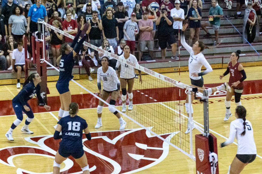 WSU outside hitter Pia Timmer (7), jumps up to spike the ball during an NCAA volleyball match against California Baptist, Sep. 1, in Bohler Gymnasium.