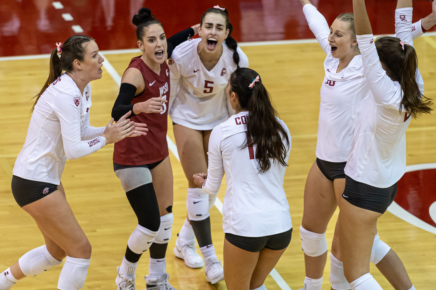 From Louisville to Texas to Pullman: Karly Basham, the perfect Coug ...