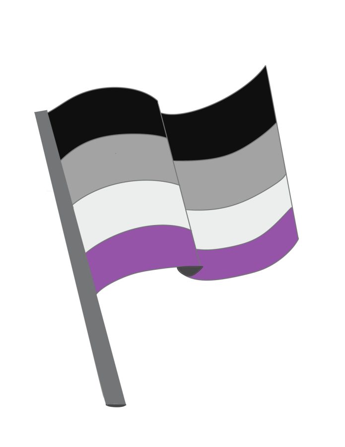 The asexual flag; the black symbolizes asexuality, the gray demisexuality and graysexuality, the white allosexual partners and allies and the purple community.