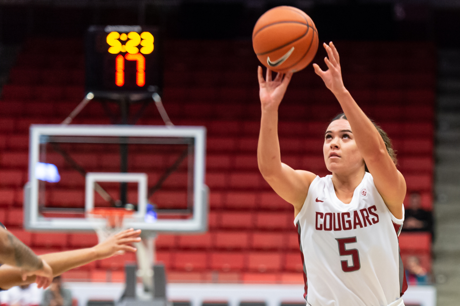 Washington State Baseball on X: Cougs Open 2022 with four-game series at  Hawaii PREVIEW