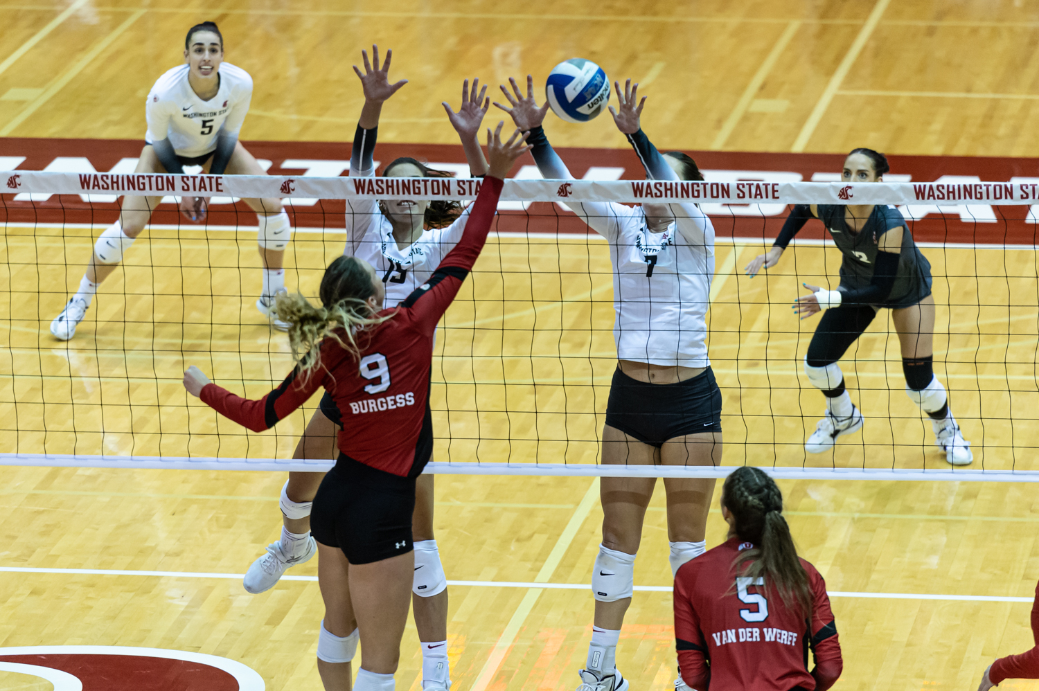 Top matches for WSU volleyball in 2023 – The Daily Evergreen