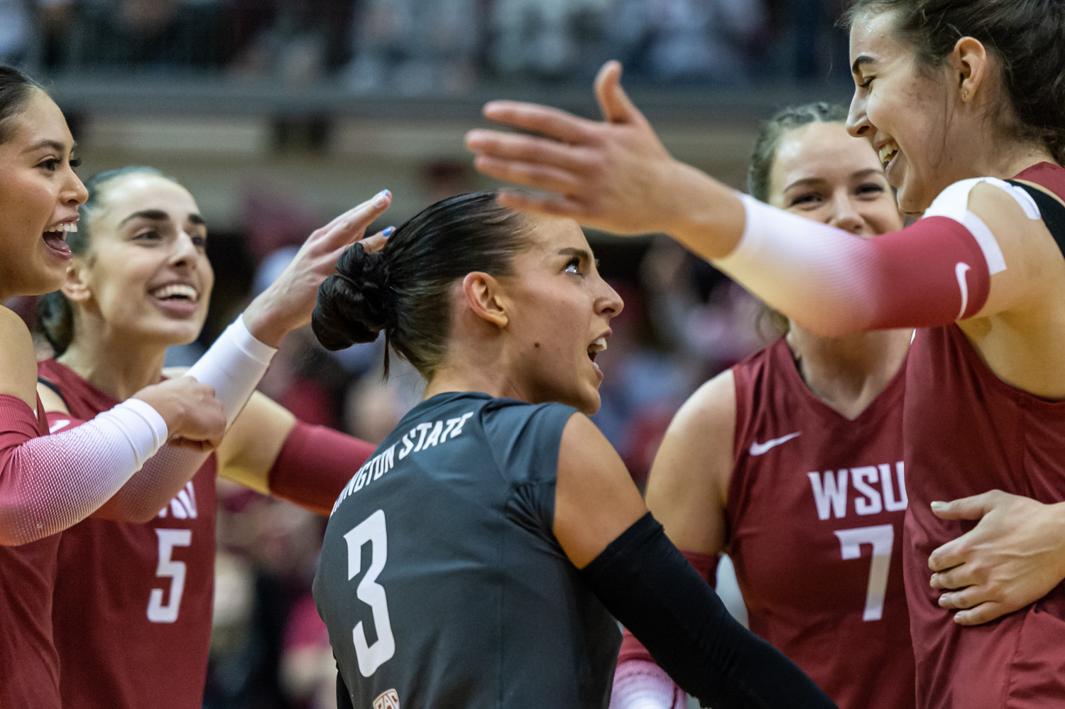 WSU volleyball earns seventh consecutive NCAA Tournament bid – The ...