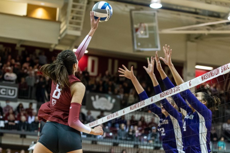 WSU opposite Katy Ryan spikes the ball during an NCAA volleyball match against UW, Nov. 25.