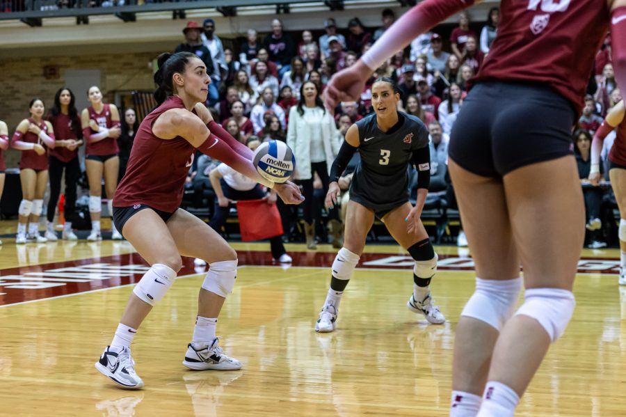 WSU+outside+hitter+Laura+Jansen+sets+the+ball+during+an+NCAA+volleyball+match+against+UW%2C+Nov.+25.