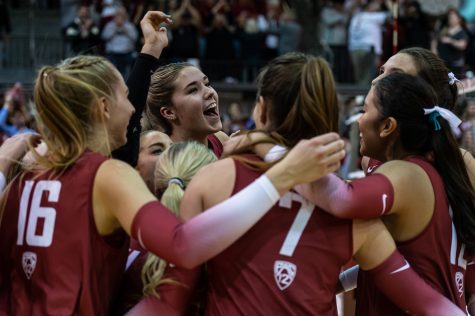 WSU volleyball players celebrate after sweeping UW, Nov. 25.