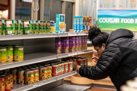 Student shops in the Cougar Food Pantry in the CUB, Nov. 15.