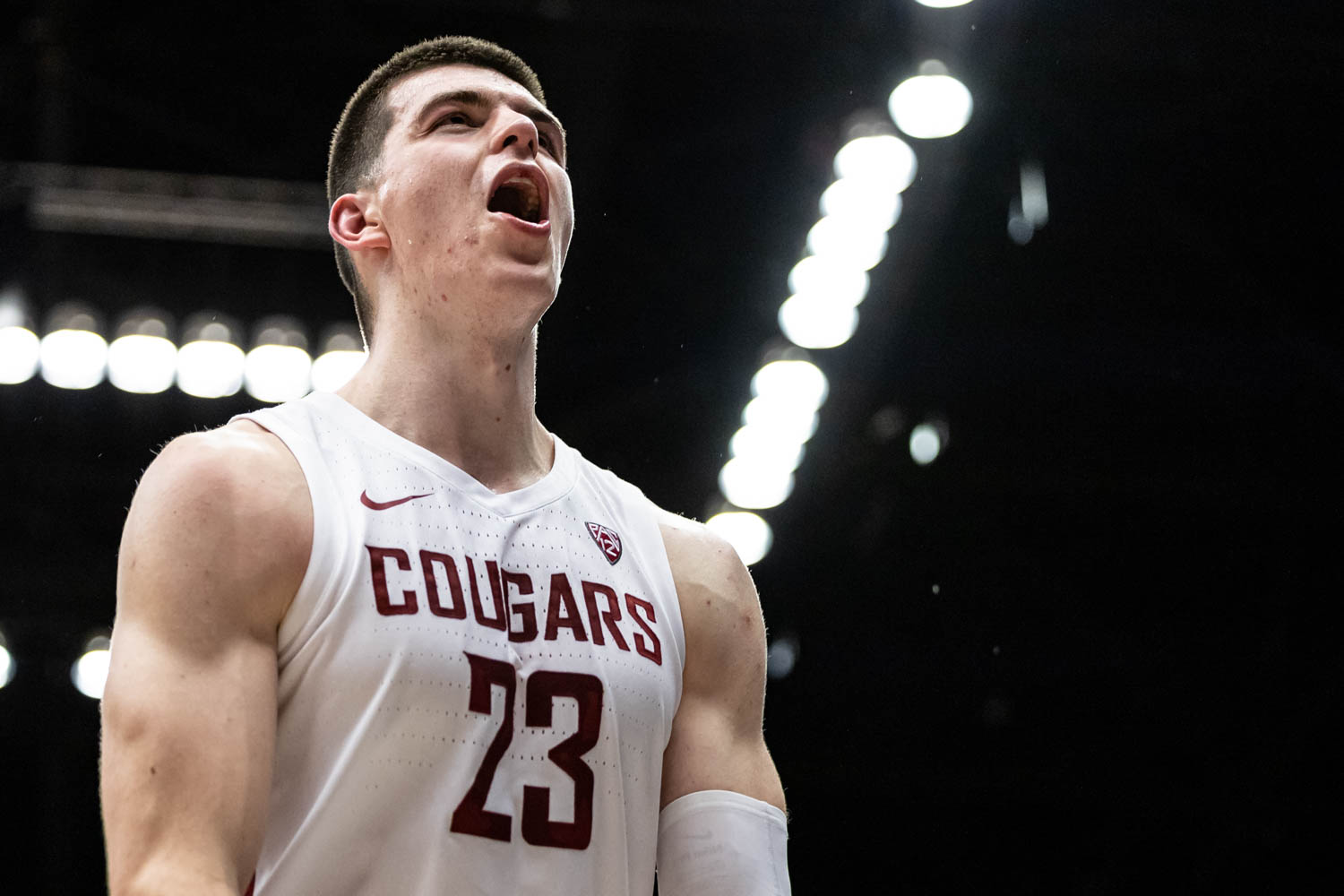 Washington State Baseball on X: Couple members of the Cougar