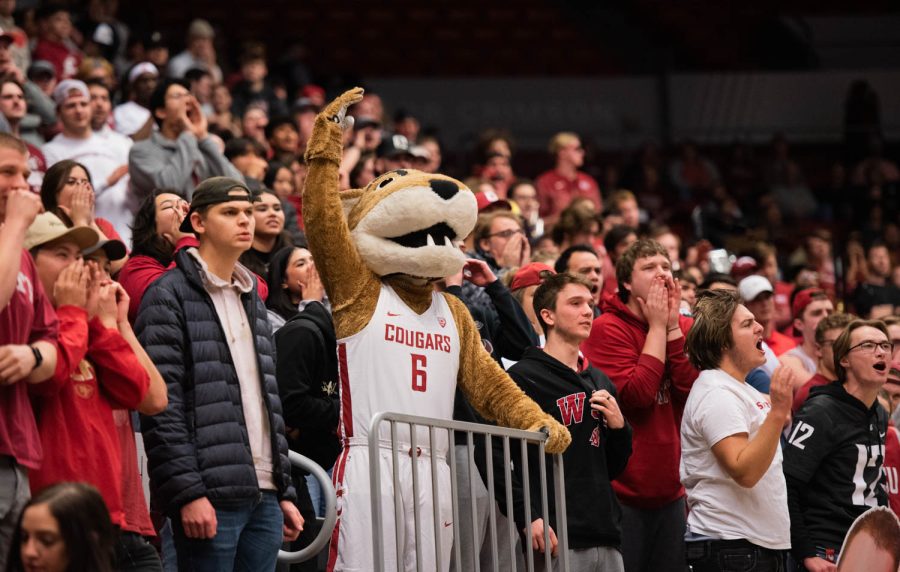 Butch T. Cougar hypes up the student section during an NCAA men’s basketball game against Arizona, Jan 26.