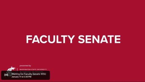 Faculty Senate meetings are streamed to the public 