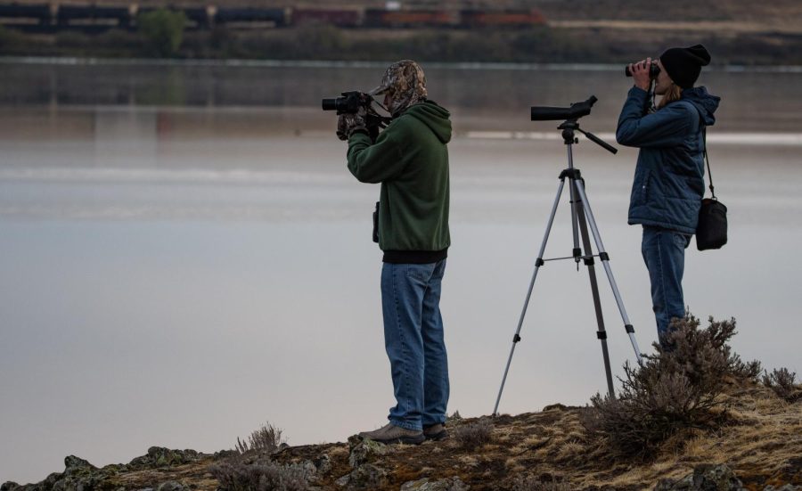 Birders look out over Sprague Lake, Sept. 19th, 2021.