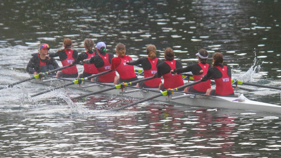 WSU rowing sported an all-freshmen squad in the Husky Open March 25, 2023.