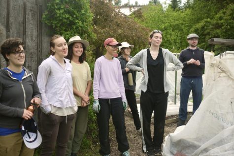 Participants of 2022 Young Adults Explore Buddhism program work in the vegetable garden