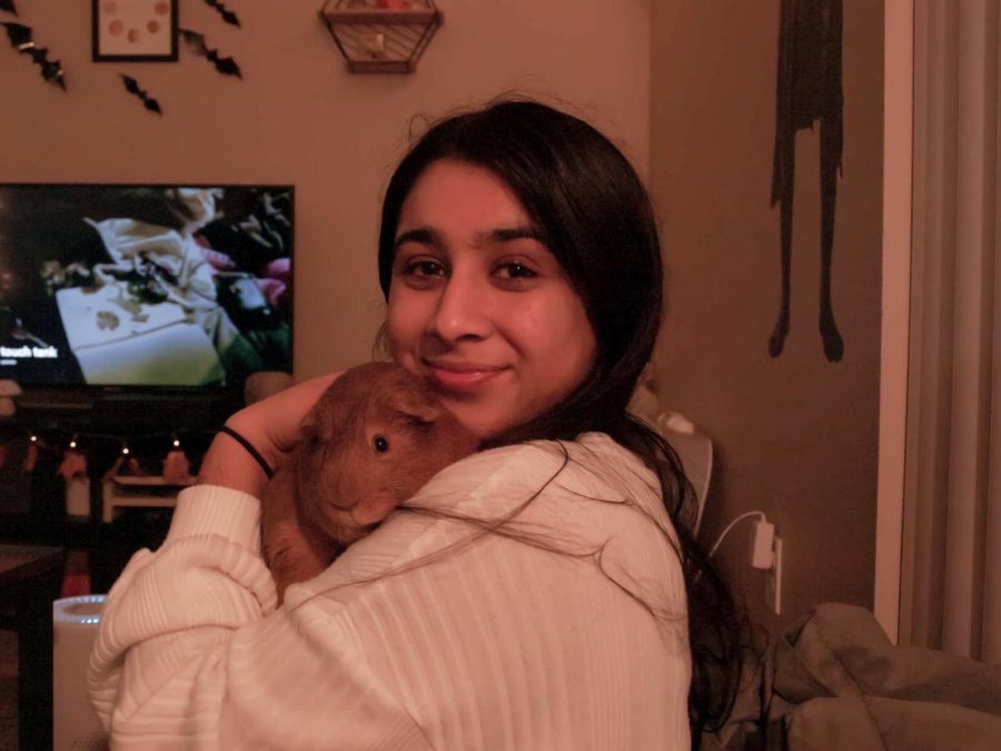 Puneet Bsanti with her guinea pig Cedric.