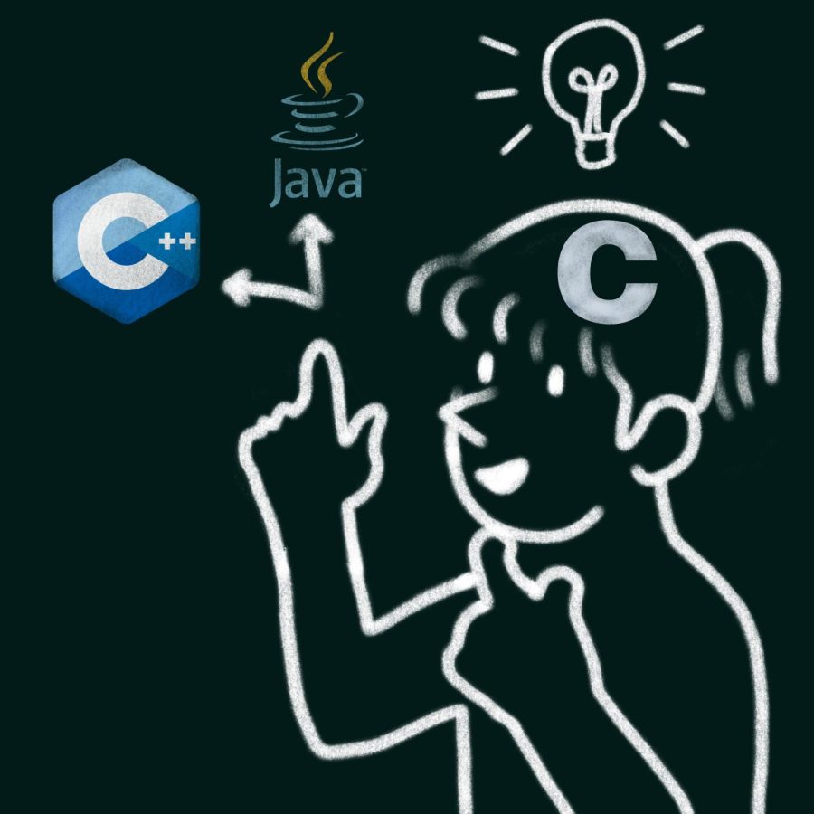 Start with a more difficult coding language like C++.