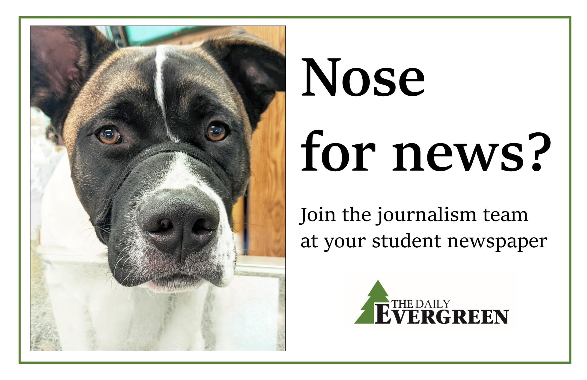 Work at The Daily Evergreen ad