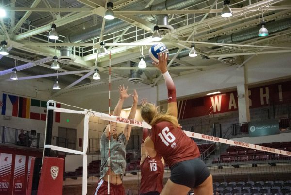 Weronika Wojdyla attacks during the WSU volleyball scrimmage in front of 2023 season ticket holders, Aug. 17. 