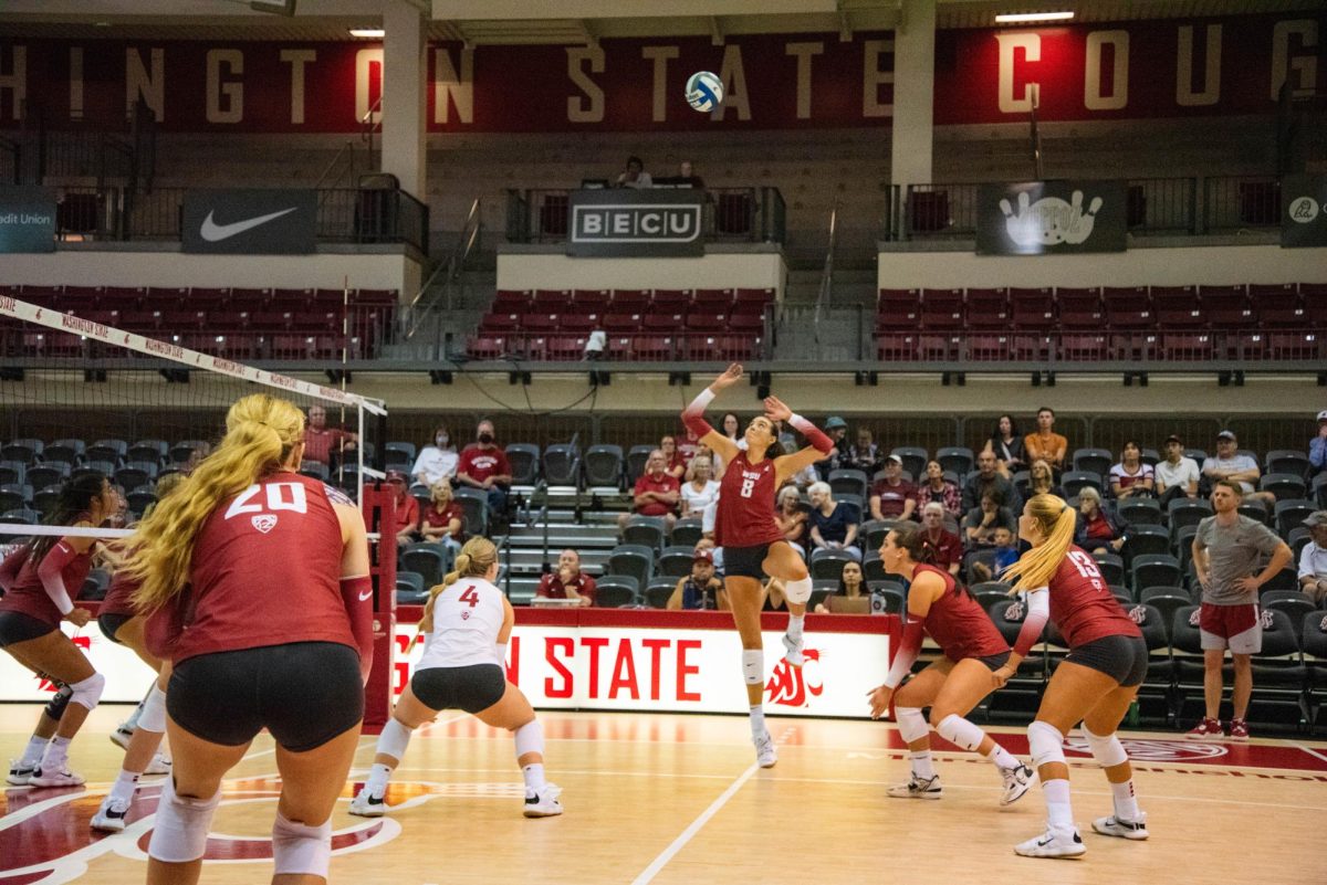 Teammates look on as Katy Ryan sets up an attack during WSU volleyballs scrimmage, Aug. 17. 