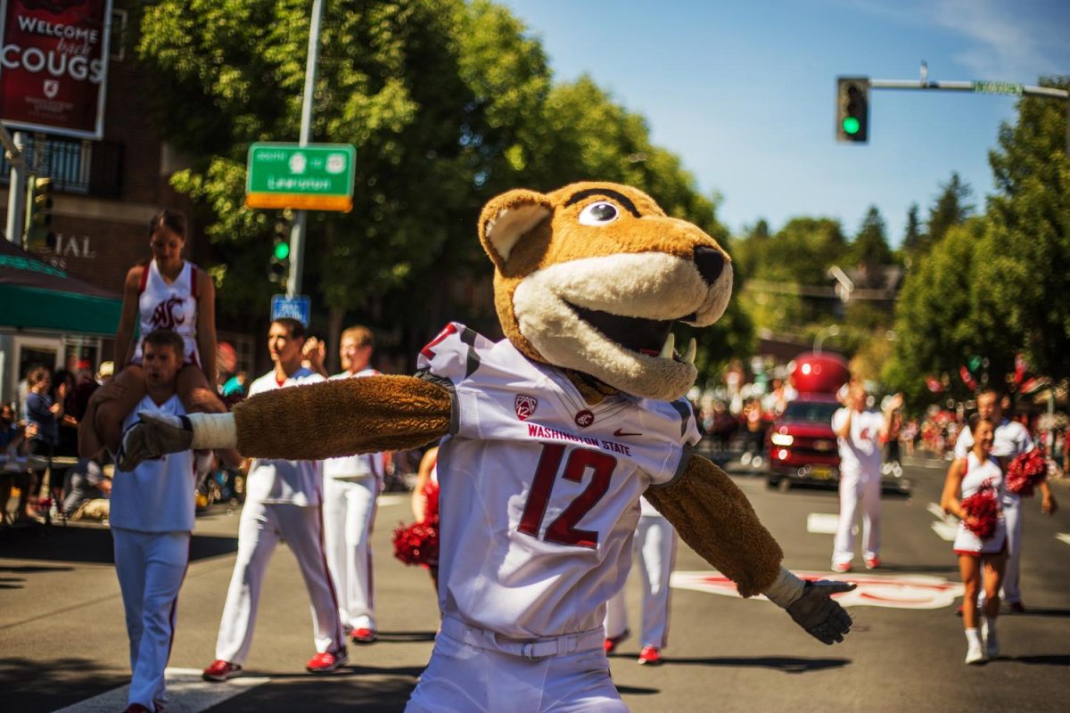 Butch T. Cougar and WSU cheerleaders performing at a past National Lentil Festival Grand Parade.