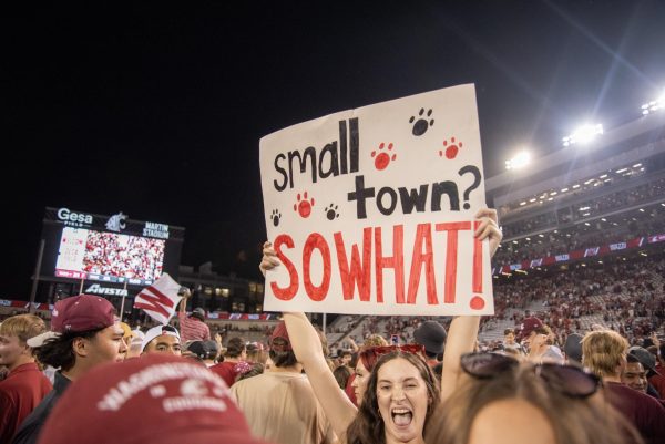 A small town? SO WHAT flag appears during the rushing of the field against Wisconsin, Sept. 9. 