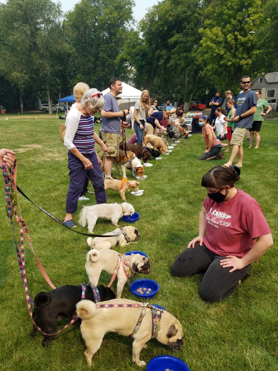Dog owners with their dogs at a past Mutt Strutt.