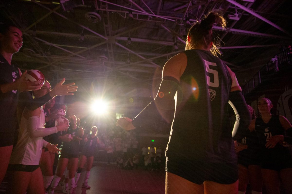 Iman Isanovic has the spotlight on her as she runs out during player introductions vs. the Oregon Ducks, Oct. 27, in Pullman, Wash. 