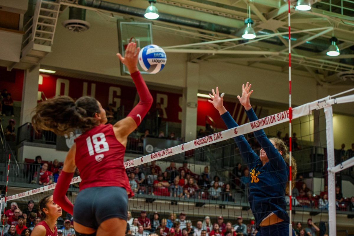 Jasmine Martin attacks against a Cal defender in NCAA volleyball match, Oct. 6, in Pullman, Wash. 