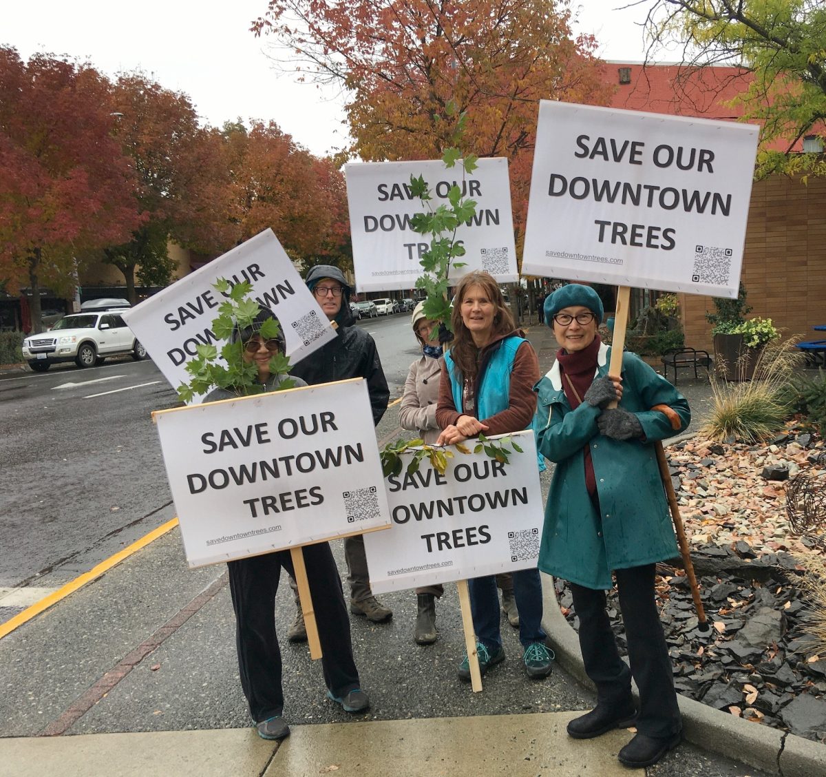 Save Downtown Trees sign waving on the corner by Ricos Pub last Saturday