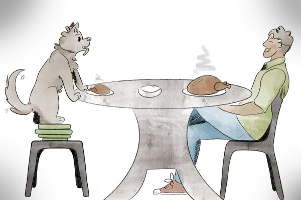 Ask Life: How to spend Thanksgiving alone?
