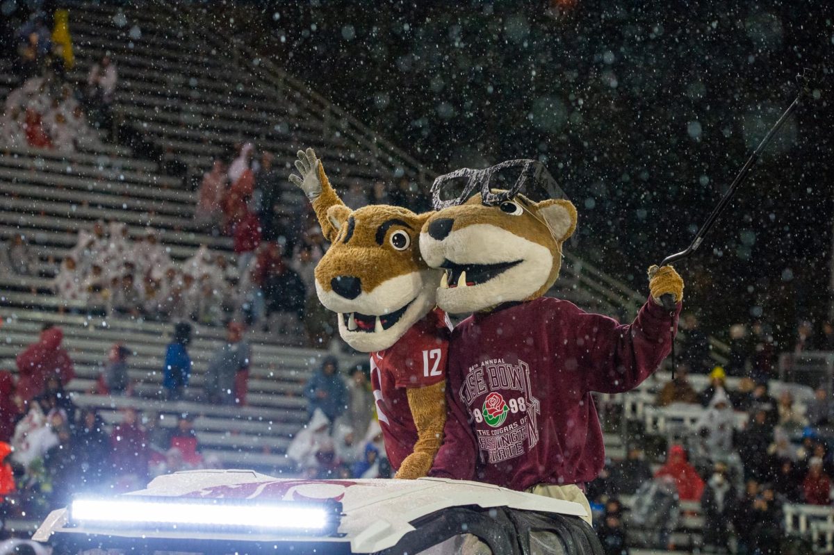 Butch and Paw-Paw lead the Cougs onto the field as they prepare to take on Stanford, Nov. 4, in Pullman, Wash. 