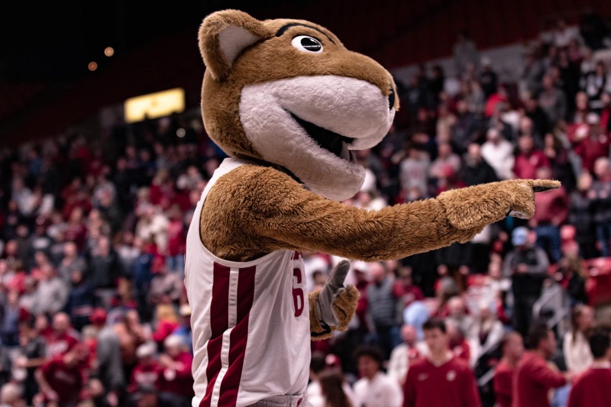 Butch T. Cougar points to the crowd as he gets them hyped for the Cougs matchup with Arizona, Jan. 13, in Pullman, Wash. 
