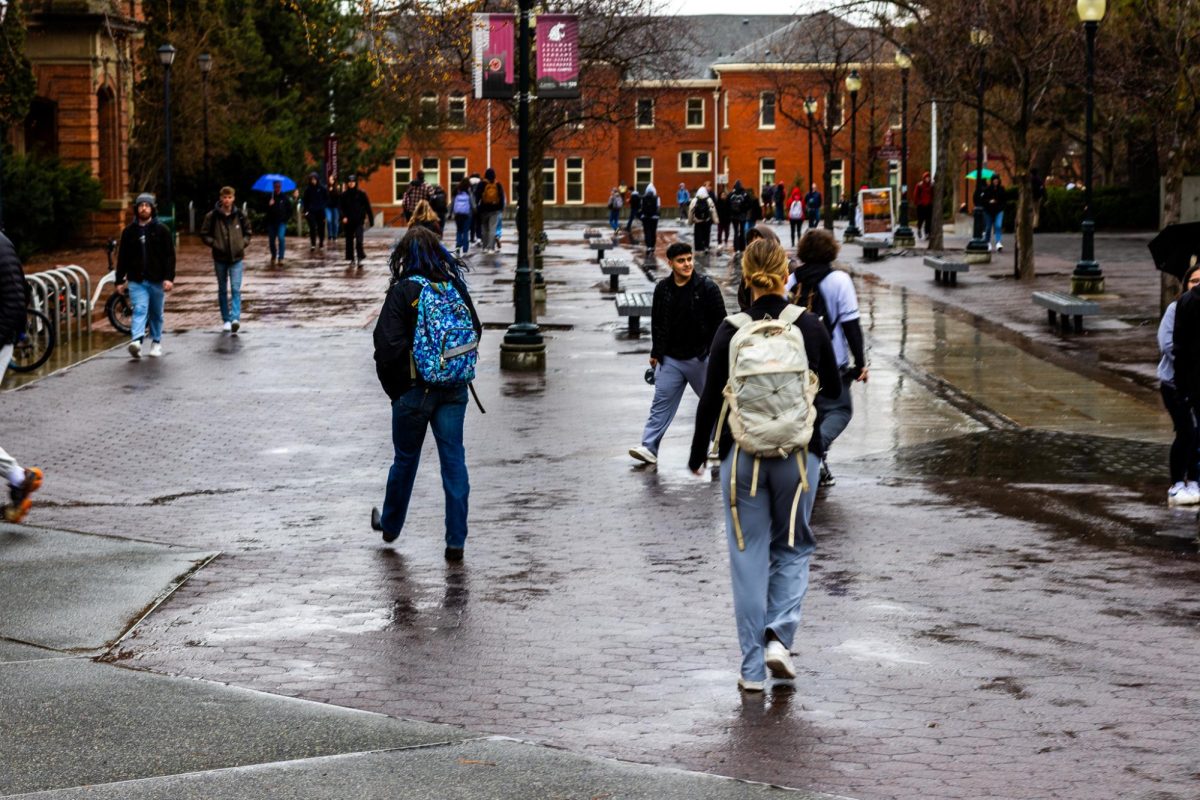 Students walking on the WSU Pullman campus, Feb. 12, in Pullman, Wash. 