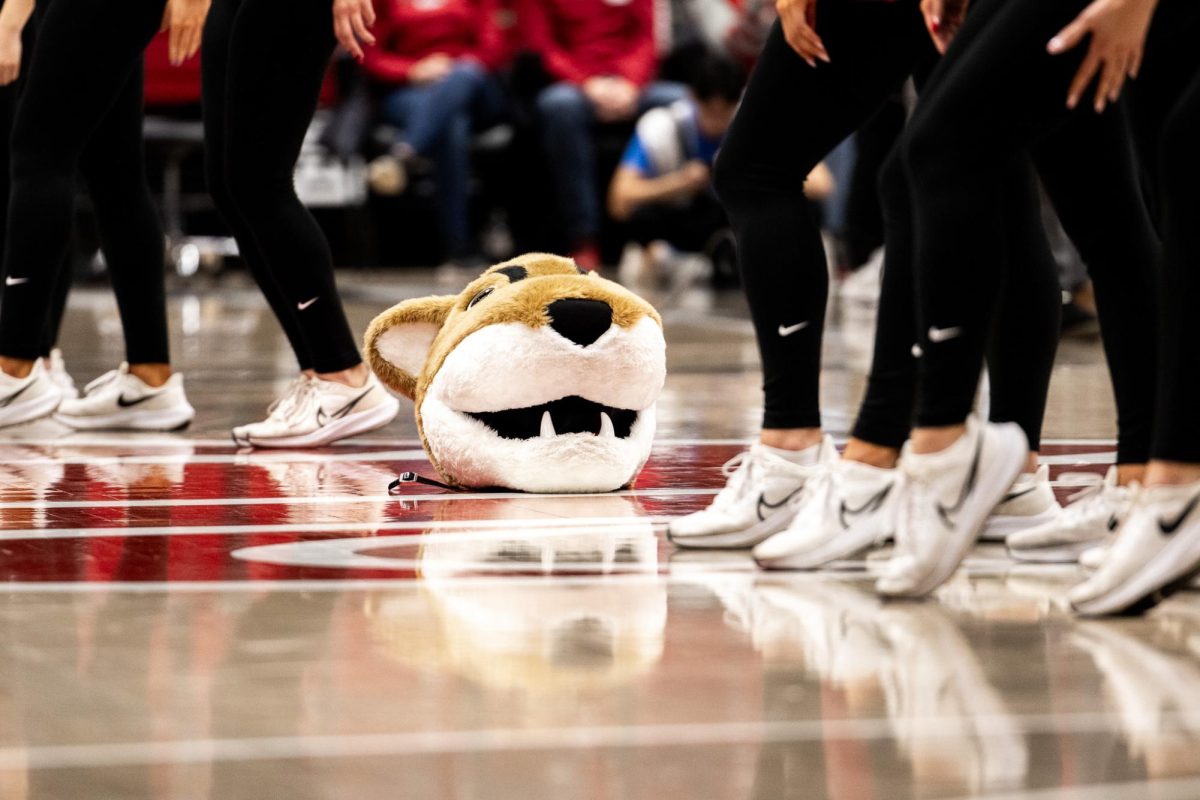 Butch T. Cougar's head lays on the ground after the now former Butch reveals his identity, 2024.