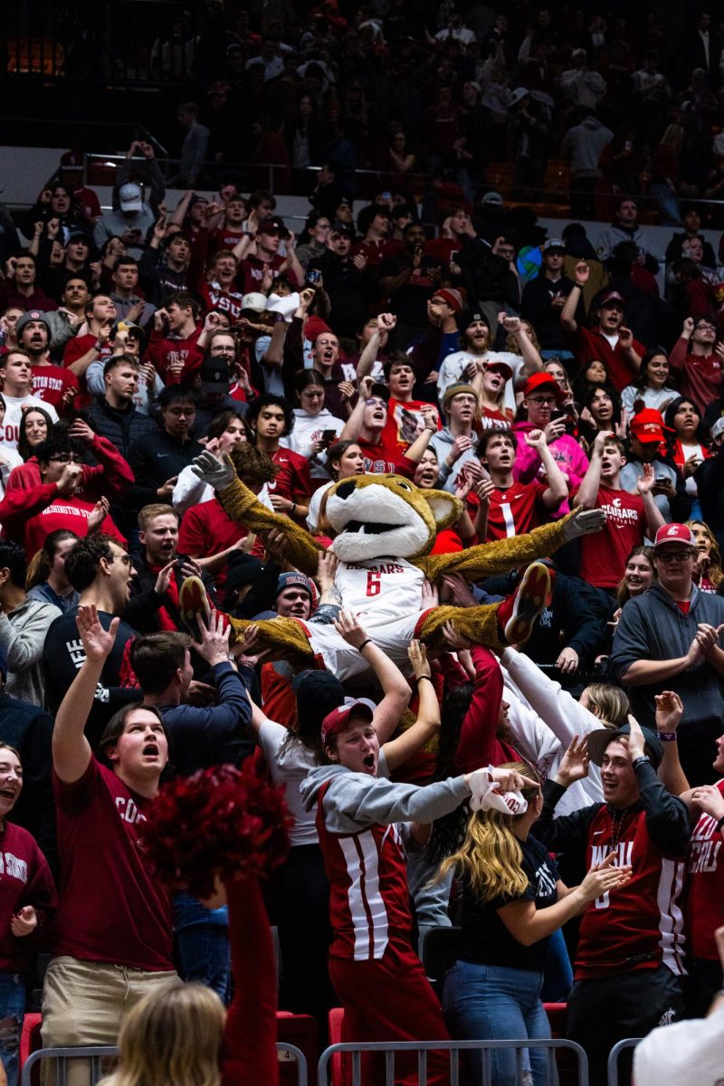 Butch crowd surfs in the stands after WSU men’s basketball team defeated USC 75-72, Feb. 29, 2024, in Pullman, Wash. 
