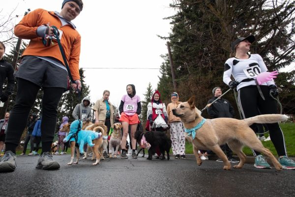 Participants at a past Canine Canter 5K Fun Run.