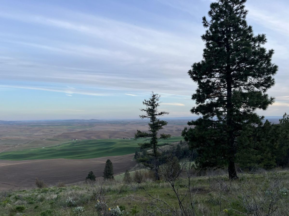 A+view+from+Kamiak+Butte%2C+a+hike+nearby+Pullman.
