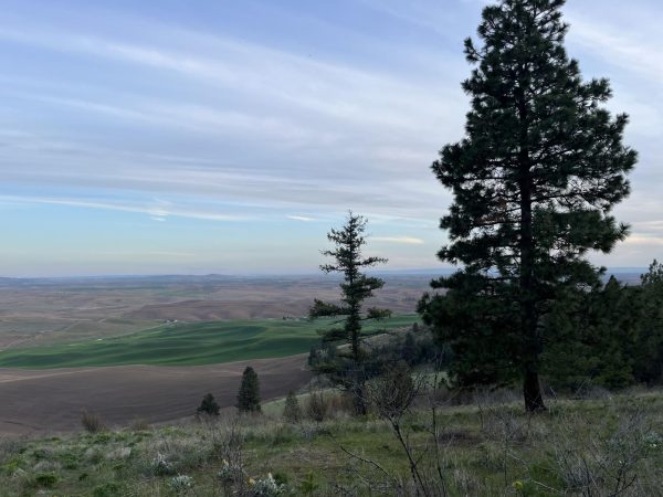 A view from Kamiak Butte, a hike nearby Pullman.