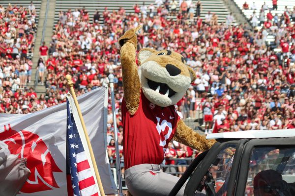 Butch rides out onto the field in a football game between WSU and Portland State University.