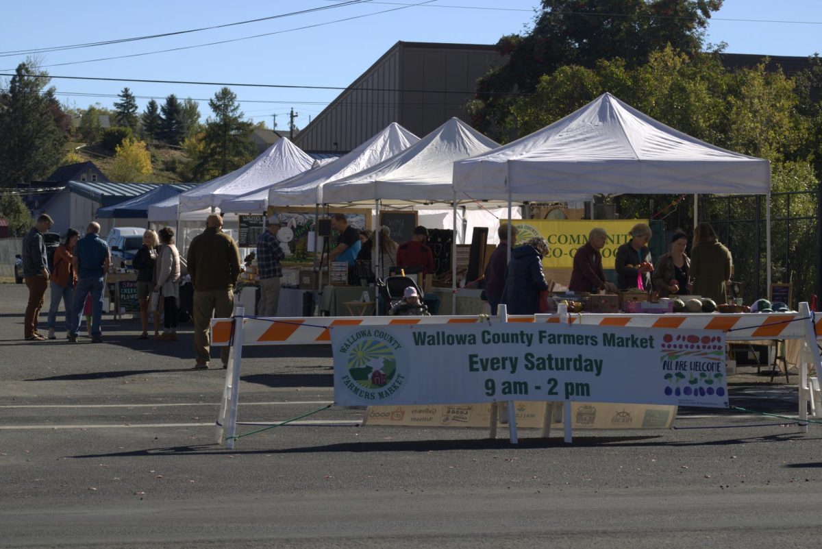 Vendors and customers at the Wallowa County Farmers Market on Oct. 5, 2024, in Joseph, Ore.