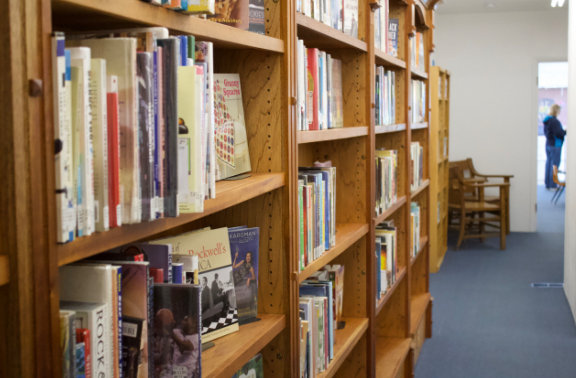 Novels on a shelf in the new Rosalia library. 