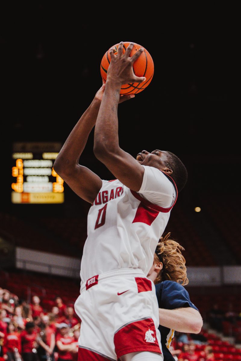 Cedrick Coward rises up after contact for a layup attempt against Northern Colorado, Nov. 18, in Pullman, Wash.